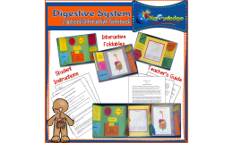 Digestive System Lapbook / Interactive Notebook - EBOOK