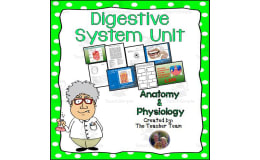 Digestive System Unit | Anatomy and Physiology