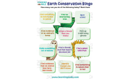 Earth Conservation Bingo Activity
