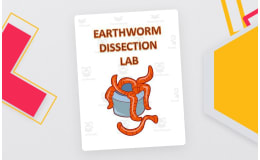 Earthworm Dissection Lab