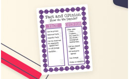 Fact and Opinion Anchor Chart