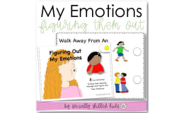 Figuring Out My Emotions, SEL Activities