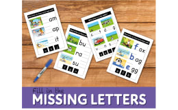 ‘Fill In The Missing Letters’ WORKSHEETS (4-7 years)