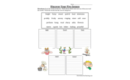 Five Senses Examples Worksheet
