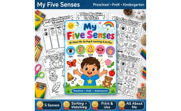 Five Senses Sorting Activity | All About Me Preschool PreK Kindergarte