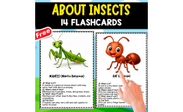 FLASHCARDS ABOUT 14 INSECTS | IN ENGLISH