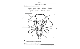 Flower Parts of a Plant Worksheet