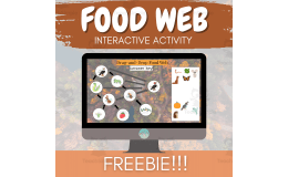 Food Web Digital Game | FREE | Energy Flow and Food Chain Activity