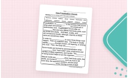 Fossils Fill in the Blank Worksheet