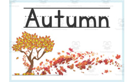 Four Seasons of the Year | Colorful Classroom Decor