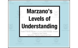 Marzano's Levels of Understanding – Poster & Rubric