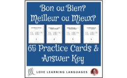 French: Adjectives and Adverbs - Practice Cards