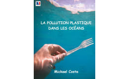 French: La pollution plastique des océans