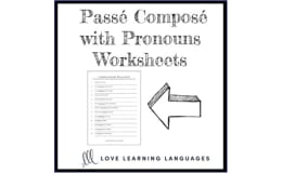 French: Perfect Tense with Pronouns Worksheet