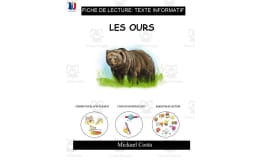 French: Reading comprehension worksheets: Les ours