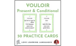 French Verb Vouloir - Present & Conditional Tenses - Practice Cards
