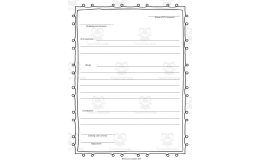 Friendly Letter Writing Template – Print and Practice