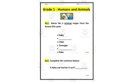 Grade 1 Human and Animals Test
