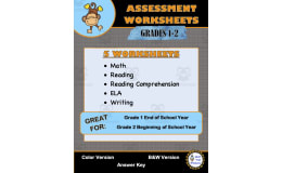 Grades 1 and 2 Multi-Subject Assessment Worksheets