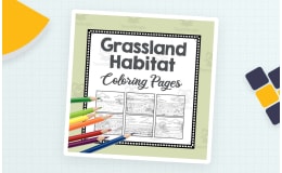 Grassland Habitat Colouring Pages – Biome Art Set