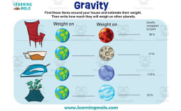 Gravity Activity