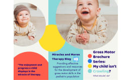 Gross Motor Brochure Series: Crawling