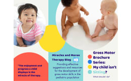 Gross Motor Brochure Series: Sitting