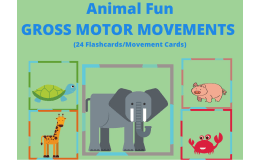 Animal Movement Cards – Gross Motor Set of 24