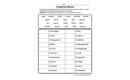 Groups of Animals Collective Nouns Worksheet