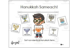 Hanukkah Sameach! - Sort non-identical Hanukkah items