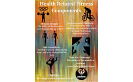 Health-Related Fitness Components – Poster Pack