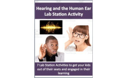 Hearing and the Human Ear – Lab Station Activity