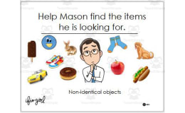 Help Mason Find the Items: Non-identical Objects