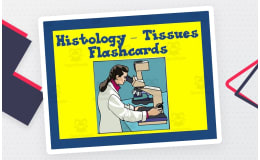 Histology Tissues Flashcards