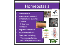 Homeostasis - Senior Biology lesson