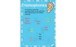 Homophones Anchor Chart – 4th Grade ELA