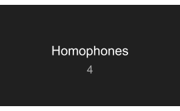 Homophones Sample - Vocabulary Grade 3-4 (PPT)