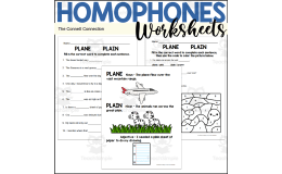 Homophones Worksheets: Plane Plain