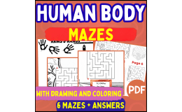 Human Body Mazes (PDF)