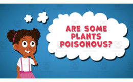 I WONDER - Are Some Plants Poisonous | Animated Video Lesson