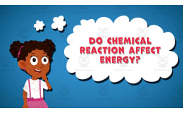 I WONDER - Do Chemical Reaction Affect Energy | Animated Video Lesson
