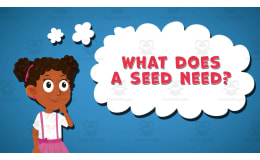I WONDER - What Does A Seed Need | Animated Video Lesson
