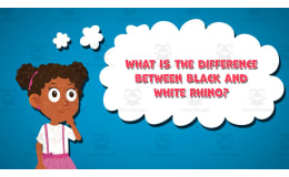 I WONDER - What Is The Difference Between Black And White Rhino