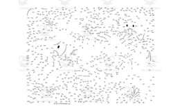 Insect Dot-to-Dot / Connect the Dots: Grasshopper