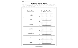 Irregular Plural Nouns Worksheet