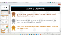 Labelling the Heart Structures