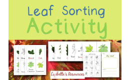 Leaf Sorting Activity: Kindergarten Science Projects