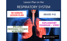 Lesson Plan on the Respiratory System - Grades 9-12