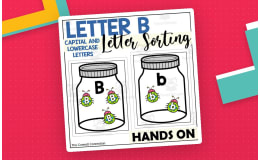 Letter B Capital and Lowercase Letter Sorting