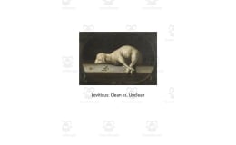 Leviticus: Clean vs. Unclean Lesson